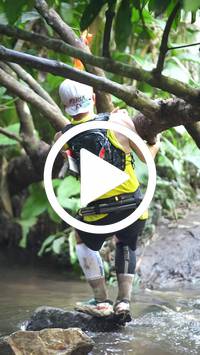 BIB:  <button type="button" onclick="openModal(27824342)" class="btn btn-primary btn-sm float-right" data-toggle="modal" data-target=".modal-high-quality">
                <i class="fa fa-download"></i> Download
                </button>